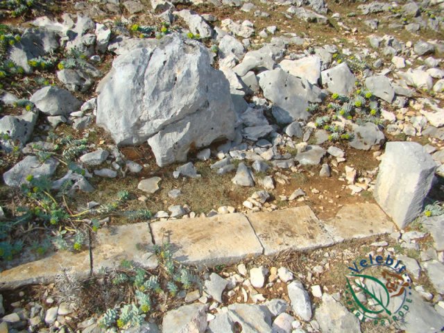 Naturpark Velebit 18